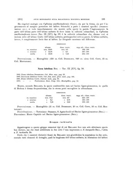 Palaeontographia Italica raccolta di monografie paleontologiche fondata da Mario Canavari nell'anno 1895