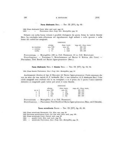 Palaeontographia Italica raccolta di monografie paleontologiche fondata da Mario Canavari nell'anno 1895