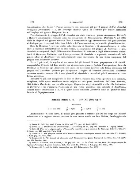 Palaeontographia Italica raccolta di monografie paleontologiche fondata da Mario Canavari nell'anno 1895