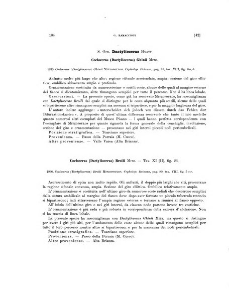 Palaeontographia Italica raccolta di monografie paleontologiche fondata da Mario Canavari nell'anno 1895