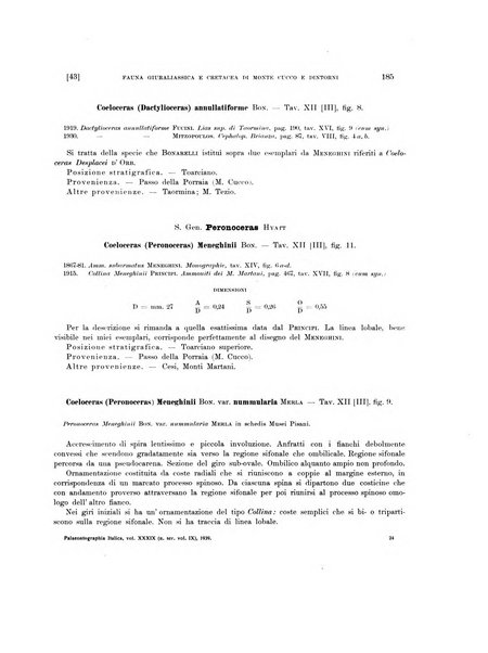 Palaeontographia Italica raccolta di monografie paleontologiche fondata da Mario Canavari nell'anno 1895