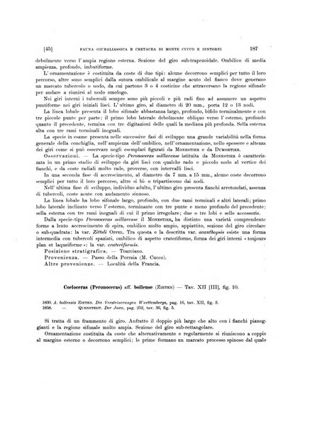 Palaeontographia Italica raccolta di monografie paleontologiche fondata da Mario Canavari nell'anno 1895