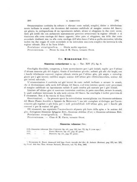 Palaeontographia Italica raccolta di monografie paleontologiche fondata da Mario Canavari nell'anno 1895