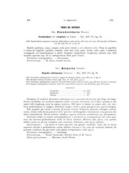 Palaeontographia Italica raccolta di monografie paleontologiche fondata da Mario Canavari nell'anno 1895