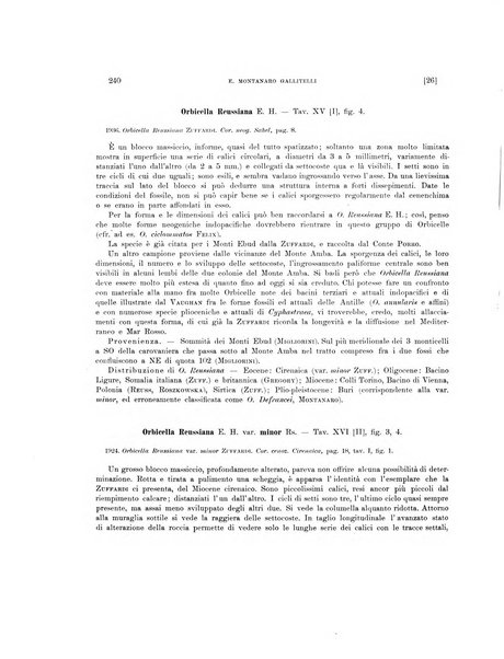 Palaeontographia Italica raccolta di monografie paleontologiche fondata da Mario Canavari nell'anno 1895