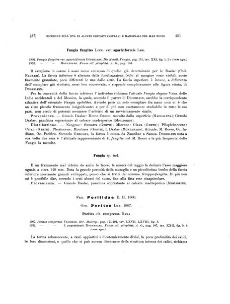 Palaeontographia Italica raccolta di monografie paleontologiche fondata da Mario Canavari nell'anno 1895