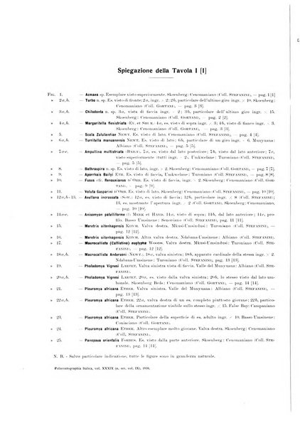 Palaeontographia Italica raccolta di monografie paleontologiche fondata da Mario Canavari nell'anno 1895