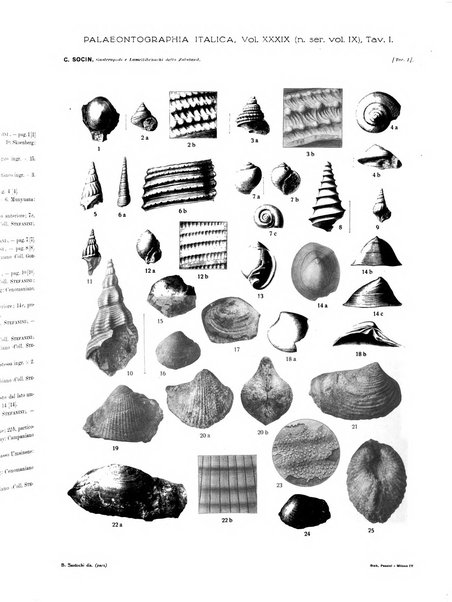 Palaeontographia Italica raccolta di monografie paleontologiche fondata da Mario Canavari nell'anno 1895