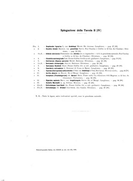 Palaeontographia Italica raccolta di monografie paleontologiche fondata da Mario Canavari nell'anno 1895