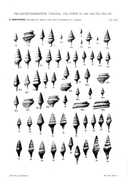 Palaeontographia Italica raccolta di monografie paleontologiche fondata da Mario Canavari nell'anno 1895