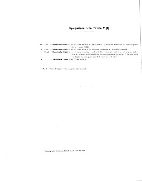 Palaeontographia Italica raccolta di monografie paleontologiche fondata da Mario Canavari nell'anno 1895