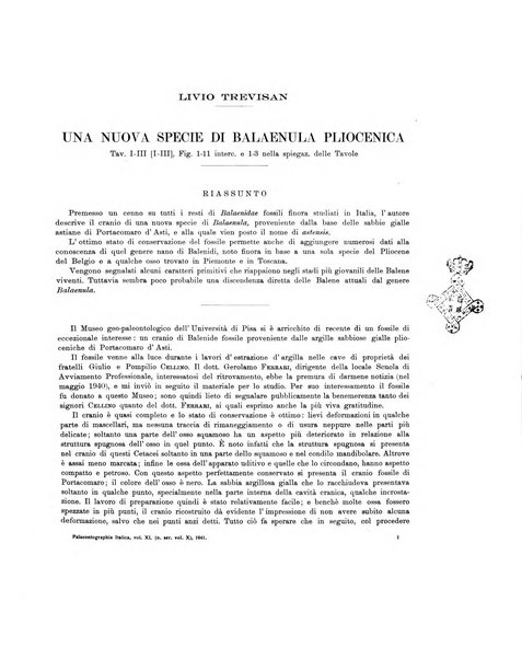 Palaeontographia Italica raccolta di monografie paleontologiche fondata da Mario Canavari nell'anno 1895