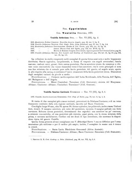 Palaeontographia Italica raccolta di monografie paleontologiche fondata da Mario Canavari nell'anno 1895