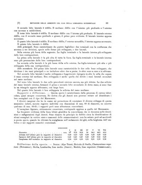 Palaeontographia Italica raccolta di monografie paleontologiche fondata da Mario Canavari nell'anno 1895