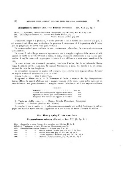 Palaeontographia Italica raccolta di monografie paleontologiche fondata da Mario Canavari nell'anno 1895