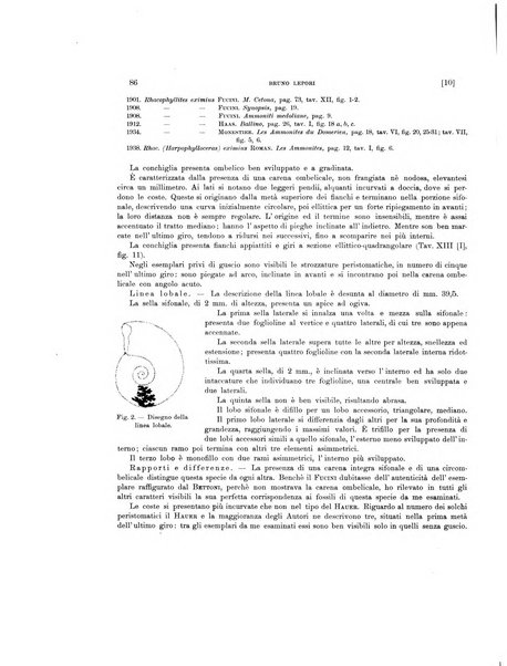 Palaeontographia Italica raccolta di monografie paleontologiche fondata da Mario Canavari nell'anno 1895