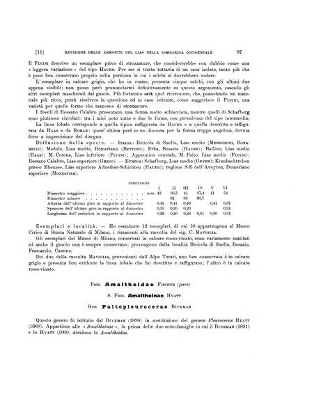 Palaeontographia Italica raccolta di monografie paleontologiche fondata da Mario Canavari nell'anno 1895