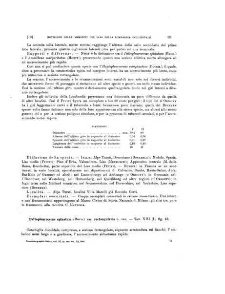 Palaeontographia Italica raccolta di monografie paleontologiche fondata da Mario Canavari nell'anno 1895