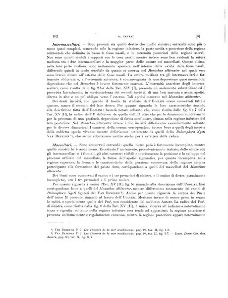 Palaeontographia Italica raccolta di monografie paleontologiche fondata da Mario Canavari nell'anno 1895