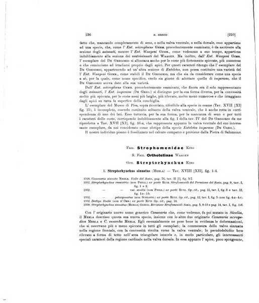 Palaeontographia Italica raccolta di monografie paleontologiche fondata da Mario Canavari nell'anno 1895