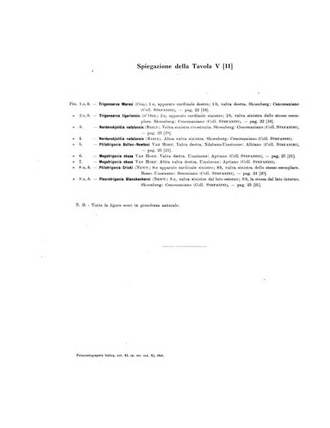 Palaeontographia Italica raccolta di monografie paleontologiche fondata da Mario Canavari nell'anno 1895