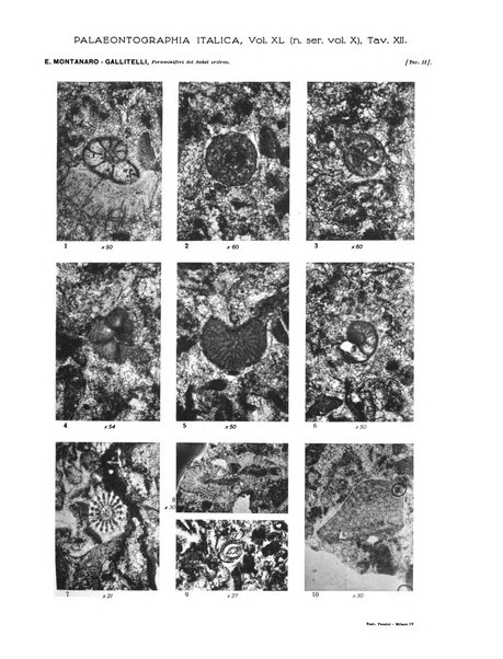 Palaeontographia Italica raccolta di monografie paleontologiche fondata da Mario Canavari nell'anno 1895