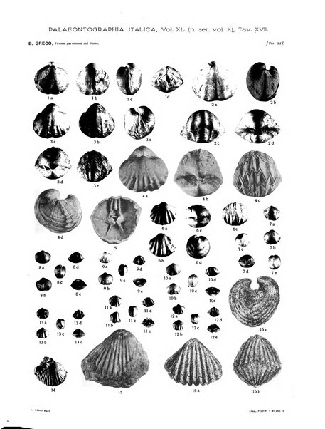 Palaeontographia Italica raccolta di monografie paleontologiche fondata da Mario Canavari nell'anno 1895