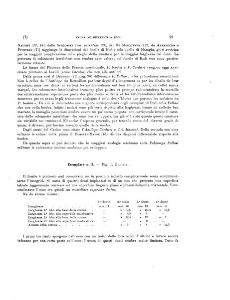 Palaeontographia Italica raccolta di monografie paleontologiche fondata da Mario Canavari nell'anno 1895