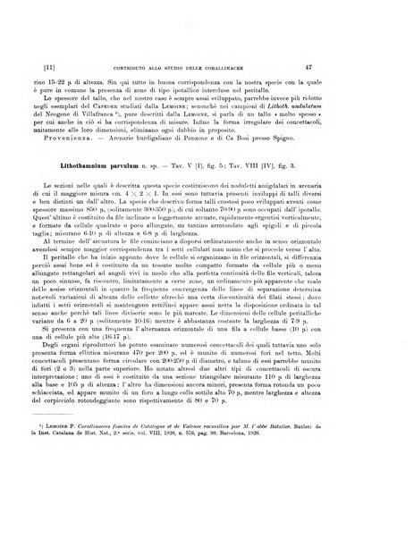 Palaeontographia Italica raccolta di monografie paleontologiche fondata da Mario Canavari nell'anno 1895