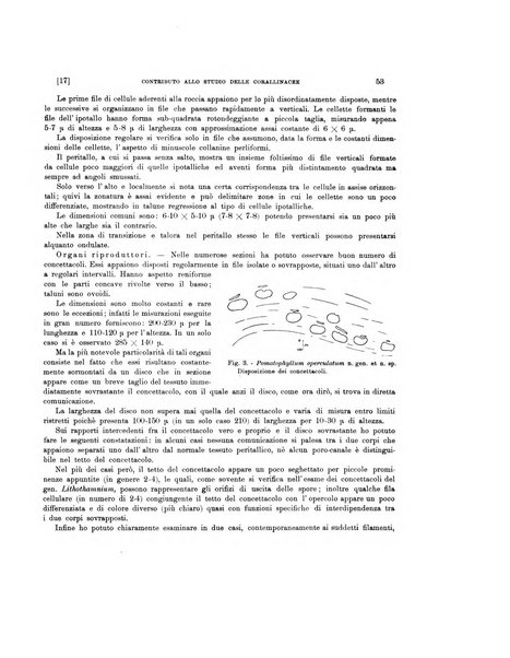 Palaeontographia Italica raccolta di monografie paleontologiche fondata da Mario Canavari nell'anno 1895