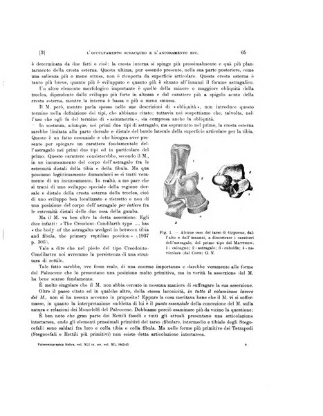 Palaeontographia Italica raccolta di monografie paleontologiche fondata da Mario Canavari nell'anno 1895