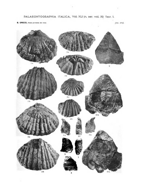 Palaeontographia Italica raccolta di monografie paleontologiche fondata da Mario Canavari nell'anno 1895