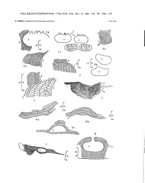 Palaeontographia Italica raccolta di monografie paleontologiche fondata da Mario Canavari nell'anno 1895