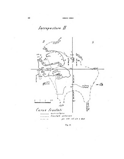 Palaeontographia Italica raccolta di monografie paleontologiche fondata da Mario Canavari nell'anno 1895