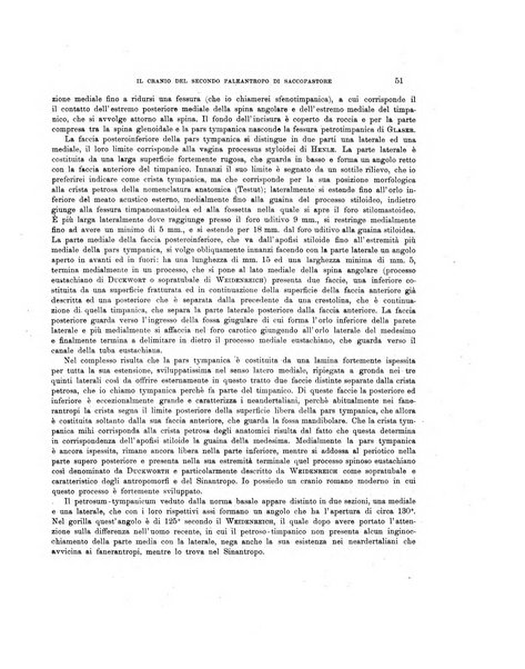 Palaeontographia Italica raccolta di monografie paleontologiche fondata da Mario Canavari nell'anno 1895