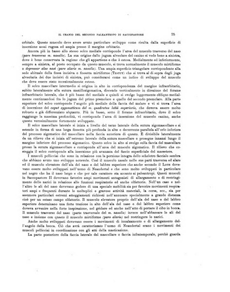 Palaeontographia Italica raccolta di monografie paleontologiche fondata da Mario Canavari nell'anno 1895