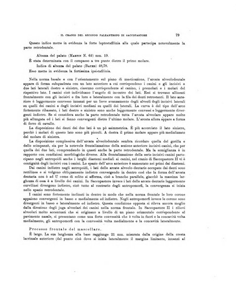 Palaeontographia Italica raccolta di monografie paleontologiche fondata da Mario Canavari nell'anno 1895