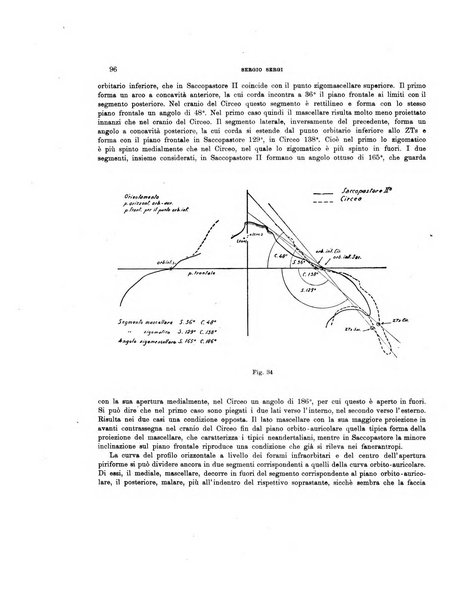 Palaeontographia Italica raccolta di monografie paleontologiche fondata da Mario Canavari nell'anno 1895