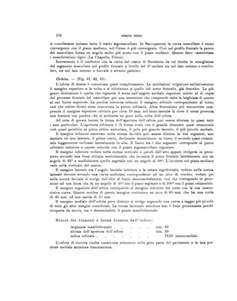 Palaeontographia Italica raccolta di monografie paleontologiche fondata da Mario Canavari nell'anno 1895