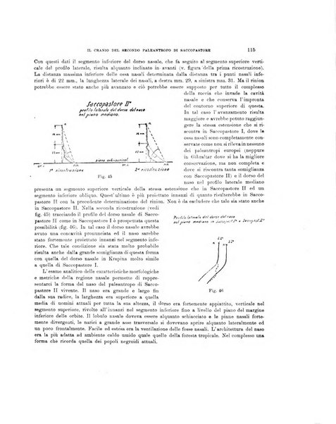 Palaeontographia Italica raccolta di monografie paleontologiche fondata da Mario Canavari nell'anno 1895