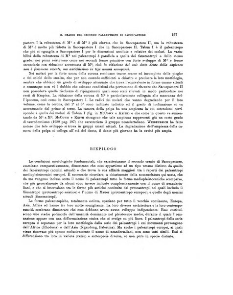 Palaeontographia Italica raccolta di monografie paleontologiche fondata da Mario Canavari nell'anno 1895