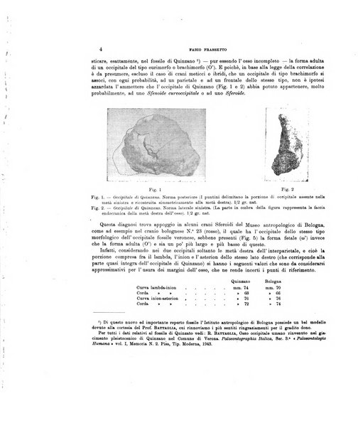 Palaeontographia Italica raccolta di monografie paleontologiche fondata da Mario Canavari nell'anno 1895