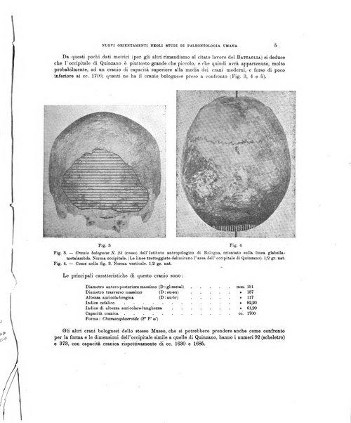 Palaeontographia Italica raccolta di monografie paleontologiche fondata da Mario Canavari nell'anno 1895