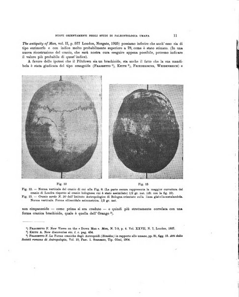 Palaeontographia Italica raccolta di monografie paleontologiche fondata da Mario Canavari nell'anno 1895