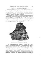 giornale/VEA0038128/1909-1910/unico/00000029