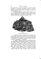 giornale/VEA0038128/1909-1910/unico/00000030