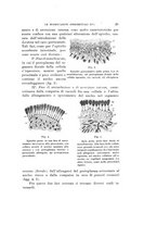 giornale/VEA0038128/1909-1910/unico/00000059