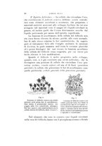 giornale/VEA0038128/1909-1910/unico/00000060