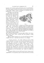 giornale/VEA0038128/1909-1910/unico/00000061