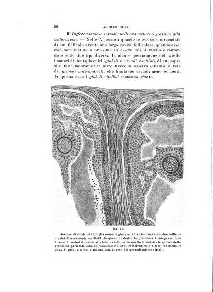 Natura rivista mensile di scienze naturali